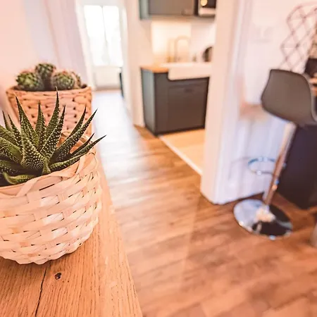 Charme De L'ancien Pour Cet Entierement Renove Dans L'hypercentre De *