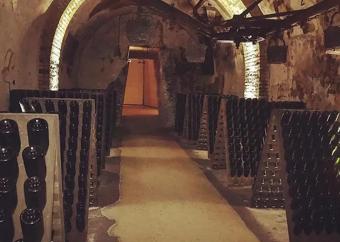 Charme De L'ancien Pour Cet Entierement Renove Dans L'hypercentre De