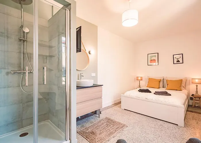 Charme De L'ancien Pour Cet Entièrement Rénové Dans L'hypercentre De