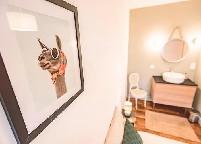 Apartament Charme De L'ancien Pour Cet Entierement Renove Dans L'hypercentre De