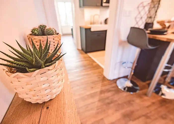 Charme De L'ancien Pour Cet Entierement Renove Dans L'hypercentre De *